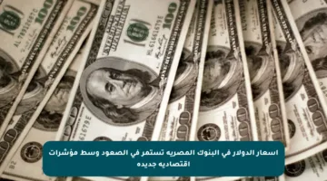 أسعار الدولار في البنوك المصرية تستمر في الصعود وسط مؤشرات اقتصادية جديدة